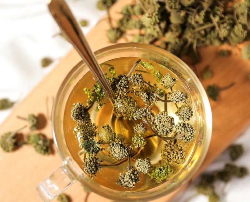 Trà nụ tam thất.