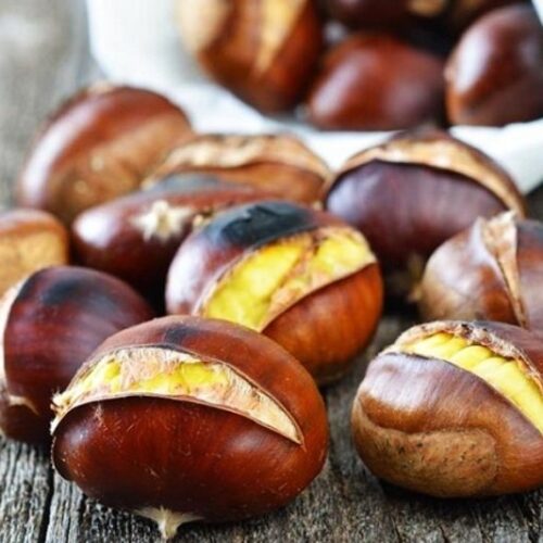 Có 3 cách để bảo quản hạt dẻ tươi trong thời gian ngắn và thời gian dài.