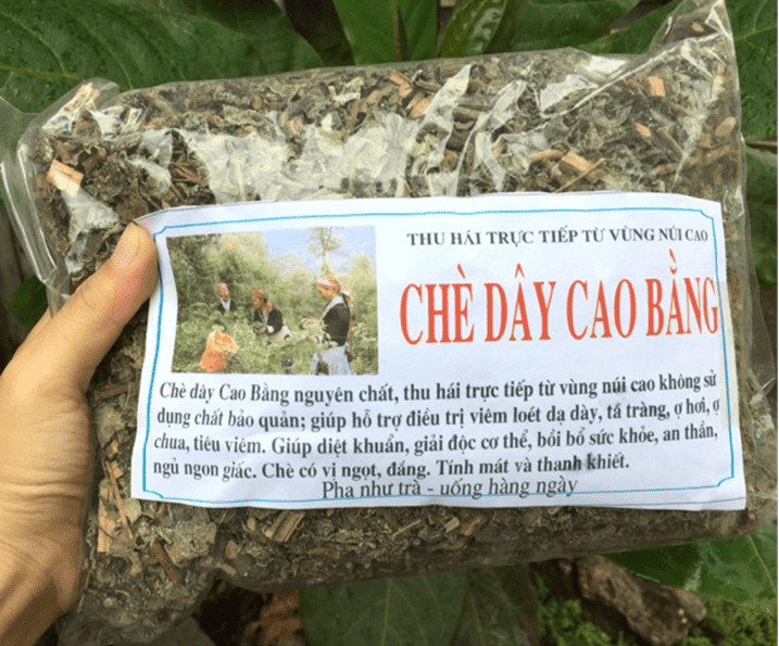 Cách ủ chè dây
