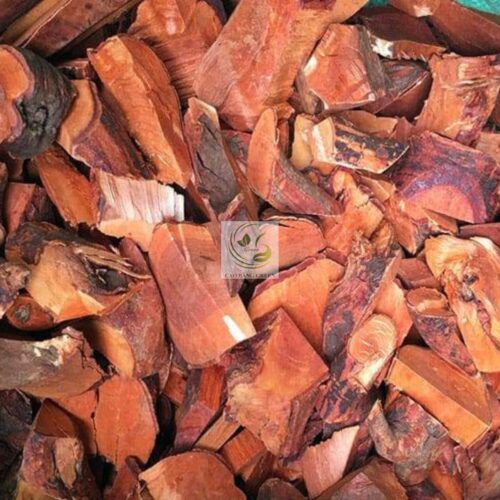 Cây mú từn có tác dụng g?