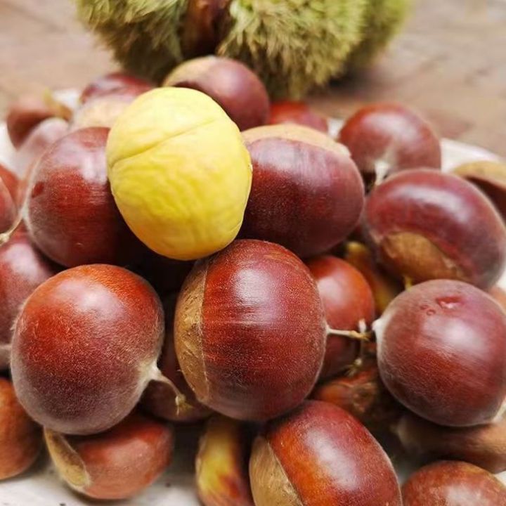 Hướng dẫn cách luộc hạt dẻ đúng cách thơm ngon