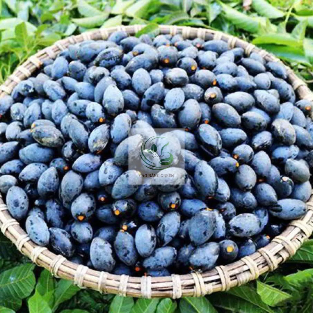 Trám đen tươi Cao Bằng chuẩn nếp rừng vỏ tím than phủ phấn trắng
