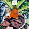 Hà thủ ô đỏ khô tại Cao Bằng Green