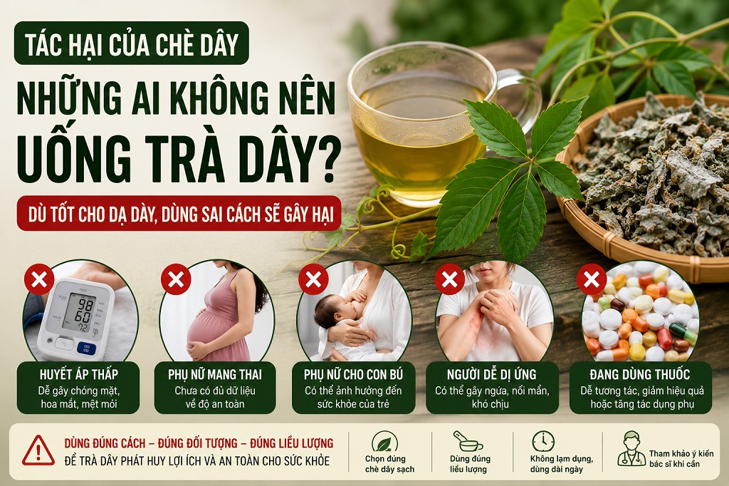 Tác Hại Của Chè Dây: Ai Không Nên Uống Trà Dây?
